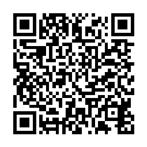 他上次在青墨海远距离感受过我使用九州照神镜二维码生成
