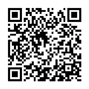 他不会单纯因为好感恶感就马上改变左天翔的做法二维码生成