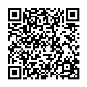 他不但武功不弱很有可能还在私下培养了自己的势力二维码生成