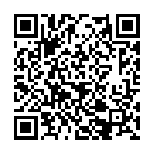 他不信当火舞知道那个玉瓶里面装的是增基丹之后二维码生成