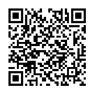 他不信李伯伯会为李蔓一个不相干的同学大费周章二维码生成