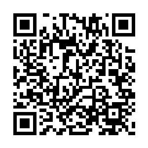 他不忍心也无法去命令老夫人不准吃这不准吃那二维码生成