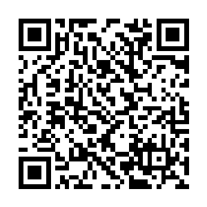 他不愿意将刚才的雷电人影和面前的少年联系起来二维码生成