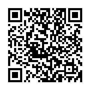 他不敢坐以待毙只能释放不多的火之源企图烧毁这根七彩古藤二维码生成