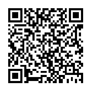 他不敢想象夜染竟然只是短短时间就强横了如此之多二维码生成