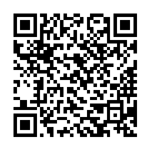 他不明白平日里极为听话的10岁男孩今天怎么一脸诡异二维码生成