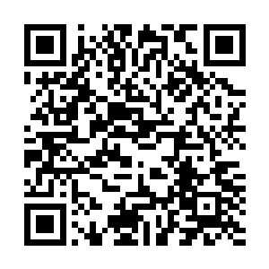 他不明白许紫烟为什么将那株生阳草放在台子上的一角不用二维码生成