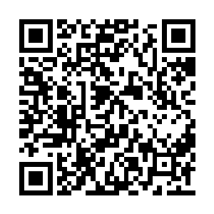 他不是应该在哄他们家那位离家出走的大小姐么二维码生成