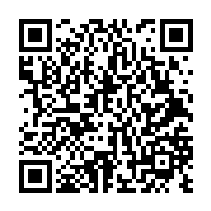 他不相信自己的爷爷能够这么快调集一支武装力量二维码生成