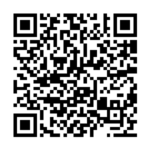 他不相信这么多的风灵草还不能助他修成风灵力二维码生成