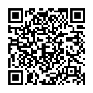 他不相信陆星在来之前对这里的情况能够一点都不了解二维码生成