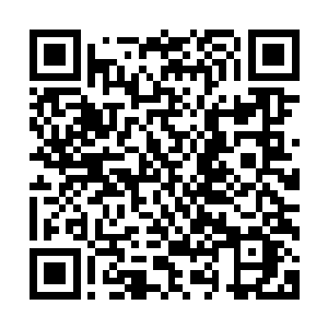他不知是闻铭的血色玉佩有效还是黑枫林中真的没有其他灵猴二维码生成