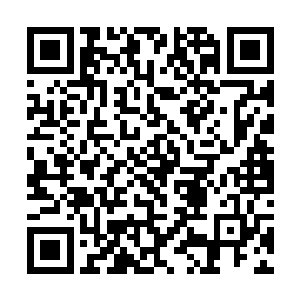 他不知道夏天是什么时候跑到他的身后将白芒打飞的二维码生成