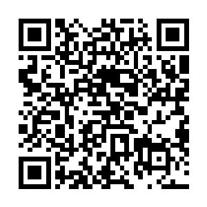 他不知道这只布满老茧平时很稳健的手为什么会抖个不停二维码生成