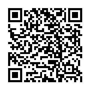 他不知道这孩子是从什么时候起变成这个模样的二维码生成