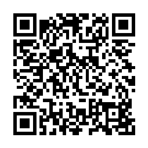 他丹田之内的妖丹便被此诡异妖藤强行掏了出去二维码生成