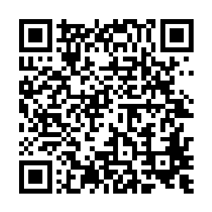 他为什么要告诉别人自己把这只青铜花瓶送给娄木夏了二维码生成