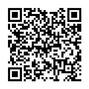 他为自己竟然在比赛中输给了荣光感到愤怒和不甘二维码生成