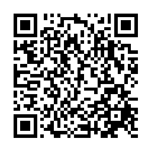 他之前还寄希望于白凤凰不清楚自己和燕北虹的交情二维码生成