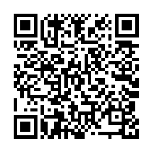 他之所以扮弱也不过为了打消凤君泽对他的戒备二维码生成