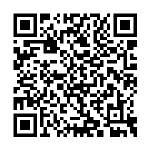 他之所以看到孟章的第一眼就知道花悠悠骗了他二维码生成