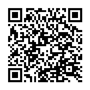 他之所以邀请秦洛回家做客只是想拉近两人之间的关系二维码生成