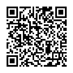 他也不会强逼着白浅诺和季红奴做她们不喜欢做的事二维码生成
