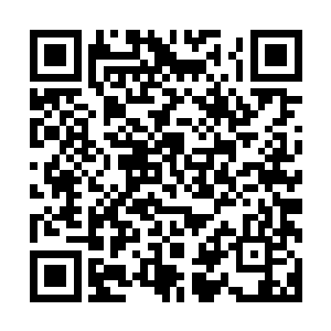 他也不知道该如何应对这样的局小说网站要稳定很多更新还快二维码生成