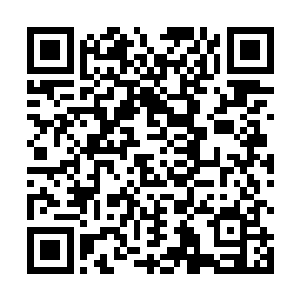 他也不虑这个只是化神期的小萝莉能够对自己造成伤害二维码生成