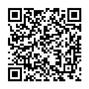 他也只能参与入侵神界这种实力微弱异世界的战斗计划二维码生成
