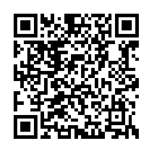他也察觉到了里克已经将经纪人的资料整理完毕二维码生成