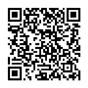 他也就是可以对一些大界界王圣地的天才做一些指点罢了二维码生成