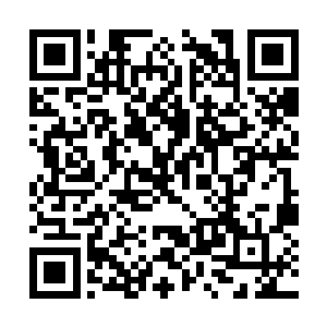 他也无法理解为什么左右手臂大小不一样会是破绽二维码生成