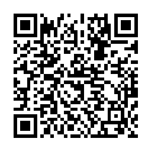 他也时常看见有不少人在各个城池内检查每一个武者的血令二维码生成