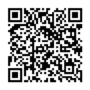 他也没告诉自己的这些手下自己无意中掉进了万灵之墓二维码生成