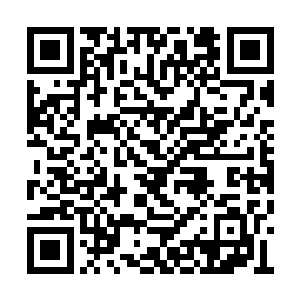 他也没想到那个传说中的顾锦朝……会这样好看二维码生成