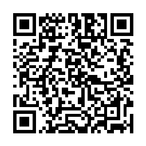 他也没有大肆疯狂地采集眼前所看到的所有灵草仙药二维码生成