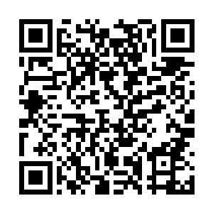他也的确感觉到自己体内伤势愈合的速度正在加快二维码生成