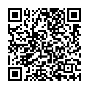 他也看出来了这烈焰龙头似乎对他和黑炭没什么恶意二维码生成