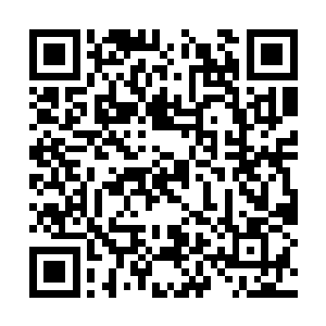 他也能清楚地感受到洛听荷那雄浑澎湃的天地伟力二维码生成