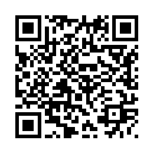 他也认为白兰是在拿这只猫羞辱他二维码生成