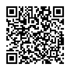 他从夜清梦的话语和神色中看出来夜清梦似乎改变了主意二维码生成