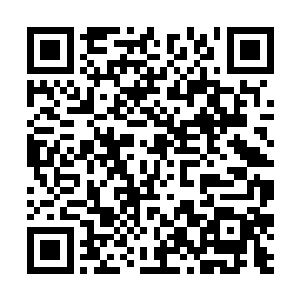 他从她身上感觉到傀儡的冰冷麻木和死亡的味道了吗二维码生成