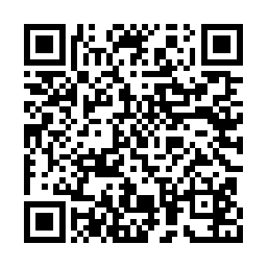 他从来没有这一刻这样地深深地感觉到她的选择二维码生成