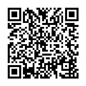他从没见过有人在被虚鬼棺转化之后还能回来的二维码生成