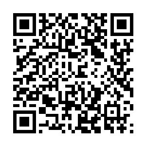 他从玄武主神这一句话中定然能看出其中隐藏的东西二维码生成