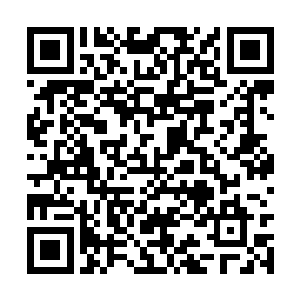 他仔细观察着吉姆在恢复过程中的每一个细微变化二维码生成