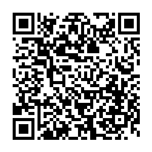 他仗着所有人都看着机甲是从他家公司里跑出来的才这么有恃无恐二维码生成