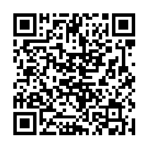 他以为她还是几年前那个胆小如鼠的十几岁的小姑娘二维码生成