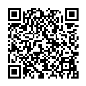 他以为已经控制住的苏门母亲也就是那个白角女人二维码生成